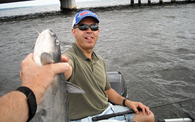 <p>Andy caught this blue using punch bait by the big bridge at Lake Palestine, Tx</p>
