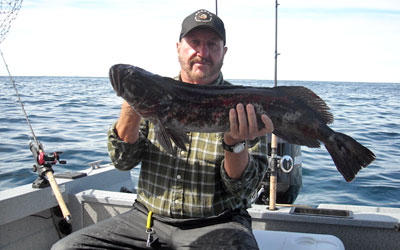 <p>A Buzz Bomb lure got this 35 inch lingcod in Whale Head Island, Alaska</p>