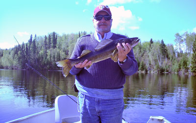 <p>A 6 lb walleye caught near Black Bear Lodge in Red Lake, Ontario</p>