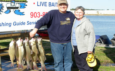 <p>These hybrid stripers caght on while trolling in front of Eagle Bluff</p>