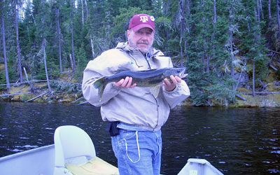 <p>Another nice walleye from the beautiful north woods at Red Lake, Ontario</p>
